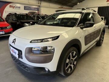 C4 cactus pureshine