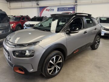 C4 cactus shine